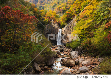 紅葉に染まる苗名滝と川の流れ 120237460
