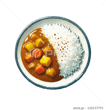 カレーライスのイラスト 高解像度png素材   120237755