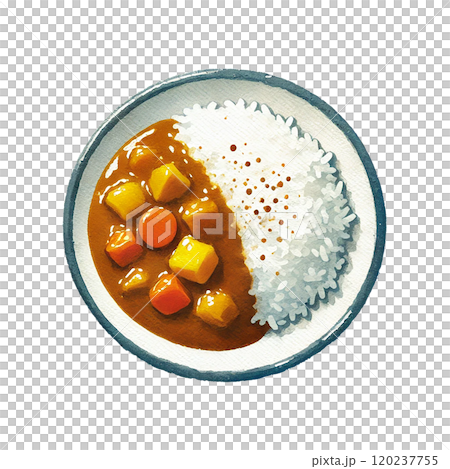 カレーライスのイラスト 高解像度png素材   120237755