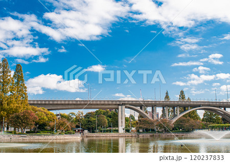 秋の城北公園 大阪市 秋の城北公園 大阪市 120237833