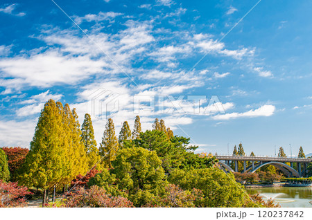 秋の城北公園　大阪市 120237842