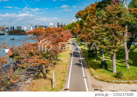 秋の毛馬桜之宮公園　大阪市 120237880