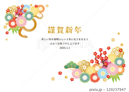 巳年-年賀状テンプレ-す1ベク 巳年-年賀状テンプレ-す1ベク 120237947