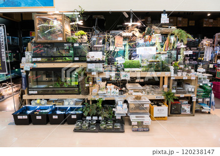 島忠ホームズ仙川店1階　ペットコーナー　水生生物　東京都調布市若葉町 120238147