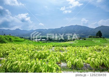 高千穂周辺の風景 120238430