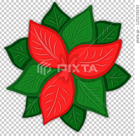 Poinsettia  paper cut illustration 120239292