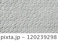 ヘキサゴン型のブロック塀の表面 120239298