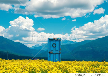 黄色い花畑に佇むラスティックな青い扉 120239462