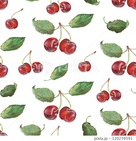 Pattern seamless of cherry bunches with leaves hand drawn in watercolor. Ripe berries on branches of berry bushes, trees. Berries are painted very brightly red, burgundy, purple and green colors. This Pattern seamless of cherry bunches with leaves hand drawn in watercolor. Ripe berries on branches of berry bushes, trees. Berries are painted very brightly red, burgundy, purple and green colors. This 120239591