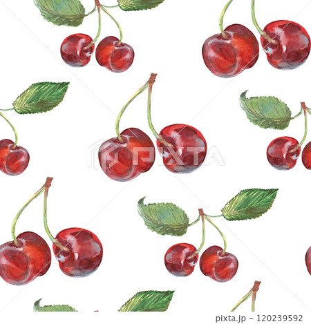 Pattern seamless of cherry bunches with leaves hand drawn in watercolor. Ripe berries on branches of berry bushes, trees. Berries are painted very brightly red, burgundy, purple and green colors. This Pattern seamless of cherry bunches with leaves hand drawn in watercolor. Ripe berries on branches of berry bushes, trees. Berries are painted very brightly red, burgundy, purple and green colors. This 120239592