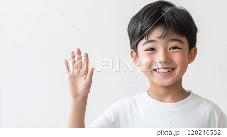 挙手する小学生　子ども　男の子　笑顔　人物素材 120240532