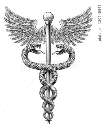 Caduceus Medical Asclepius Rod Doctor Symbol Icon 120240548
