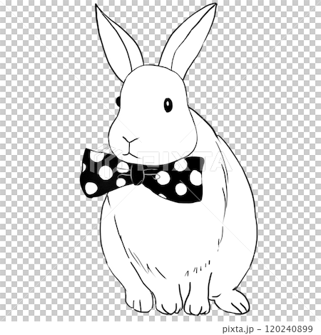 Monochrome line drawing of a rabbit facing forward and wearing a ribbon Monochrome line drawing of a rabbit facing forward and wearing a ribbon 120240899