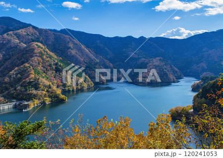 東京都　奥多摩湖　紅葉の風景 120241053