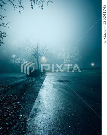 Misty Night Street Scene with Dim Streetlights 120241748