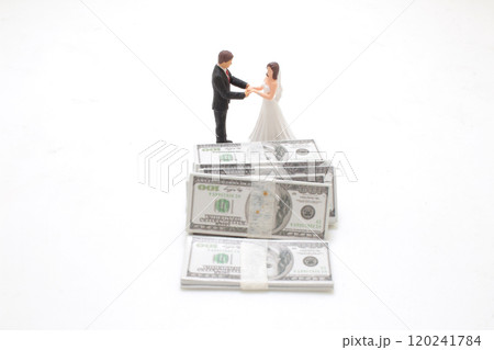 Miniature Bride and Groom with Stacks of Money Conceptual Image Miniature Bride and Groom with Stacks of Money Conceptual Image 120241784