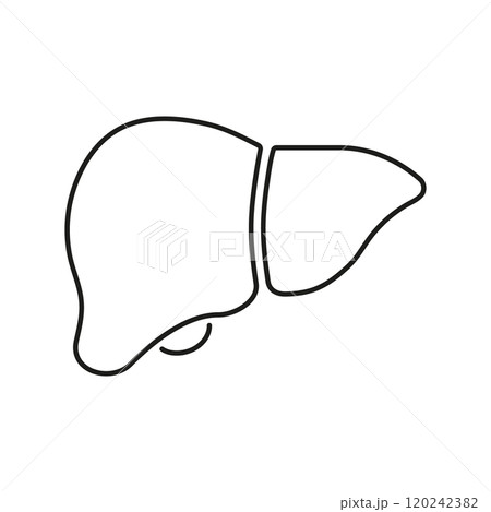 Liver Line Icon. Anatomy of Human Internal Organ Outline Symbol. Hepatic System Sign. Editable Stroke. Isolated Vector Illustration Liver Line Icon. Anatomy of Human Internal Organ Outline Symbol. Hepatic System Sign. Editable Stroke. Isolated Vector Illustration 120242382