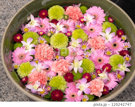 カラフルなフローティングフラワー カラフルなフローティングフラワー 120242747