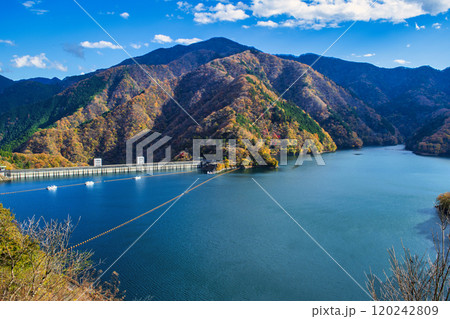 東京都　奥多摩湖　紅葉の風景 120242809