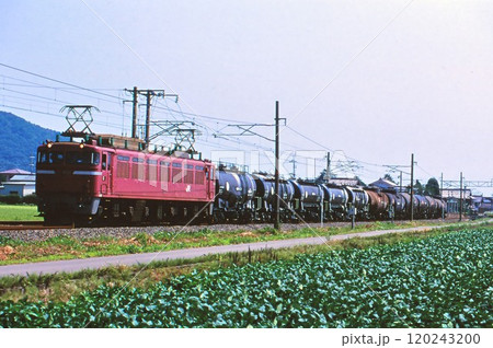 北陸本線を走る貨物列車 120243200