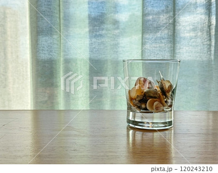 Copyspace with glass of shells on wood table Copyspace with glass of shells on wood table 120243210