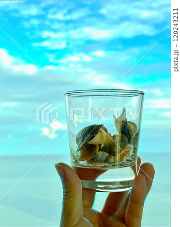 Hand holding glass of sea shells with blue sky background 120243211