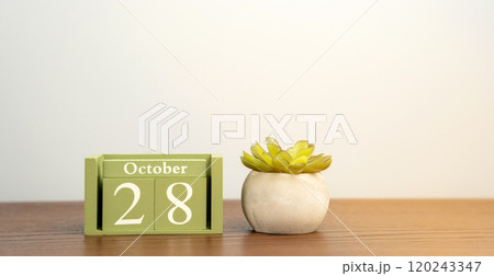 The October 28 wooden calendar and a succulent flower are on the table. Autumn month, day of the year concept The October 28 wooden calendar and a succulent flower are on the table. Autumn month, day of the year concept 120243347