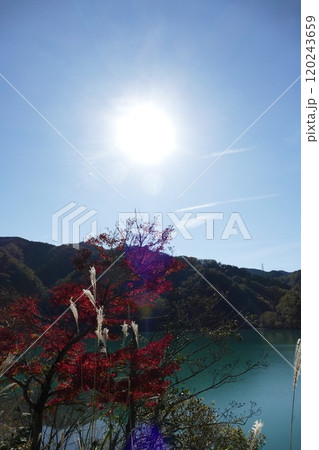 丹沢湖と周辺 丹沢湖と周辺 120243659