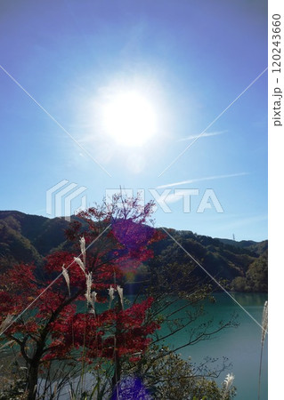 丹沢湖と周辺 120243660