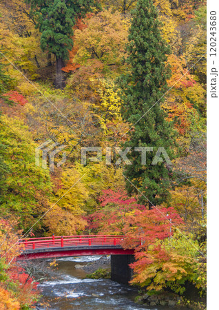 紅葉に彩られた中野もみじ山の秋 120243680