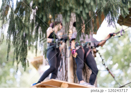 Experience an exciting treetop adventure as climbers skillfully navigate ropes and secure harnesses high above Experience an exciting treetop adventure as climbers skillfully navigate ropes and secure harnesses high above 120243717
