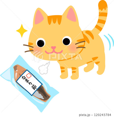 なまり節パックに興味がある猫 120243784