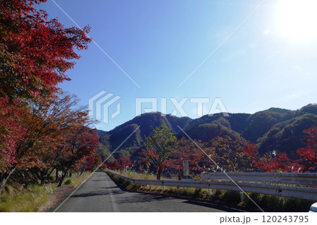 丹沢湖と周辺 120243795