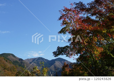 丹沢湖と周辺 120243826