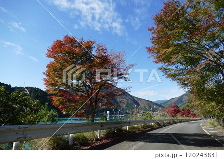 丹沢湖と周辺 120243831