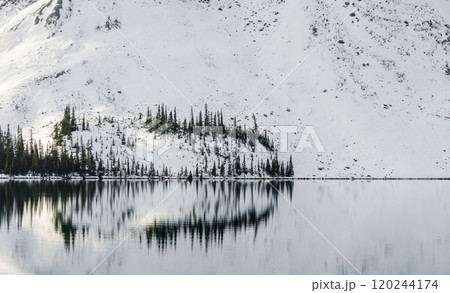Serene winter landscape of tranquil Bow lake reflecting snow covered mountains and evergreen pine trees in Banff national park, Canada 120244174