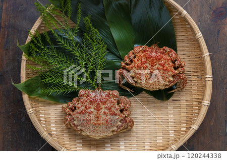 ザルに盛られたトゲクリガニ 120244338