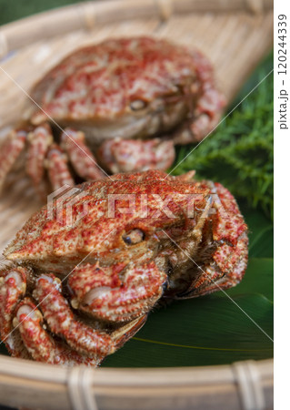 ザルに盛られたトゲクリガニ ザルに盛られたトゲクリガニ 120244339