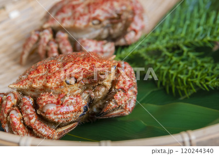 ザルに盛られたトゲクリガニ 120244340
