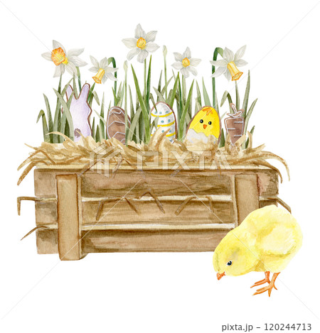 Watercolor composition with a wooden box with hay, narcisuss, Easter gingerbread and a chick inside 120244713
