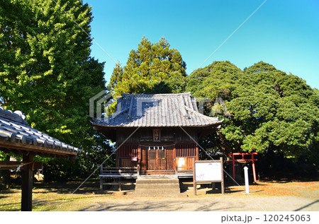 埼玉県坂戸市多和目のパワースポット　多和目天神社 120245063