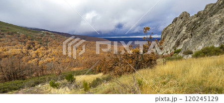 Hayedo de la Pedrosa Natural Protected Area, Spain 120245129