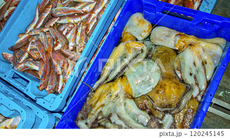 Fish Baskets, Aguilas, Spain 120245145