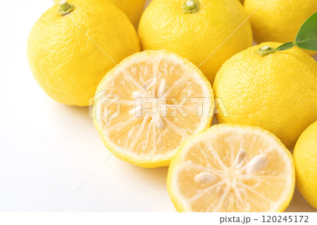 白い背景にたくさんのゆず 120245172