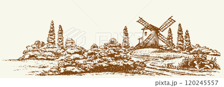 Vector drawing. Old mill in the field 120245557