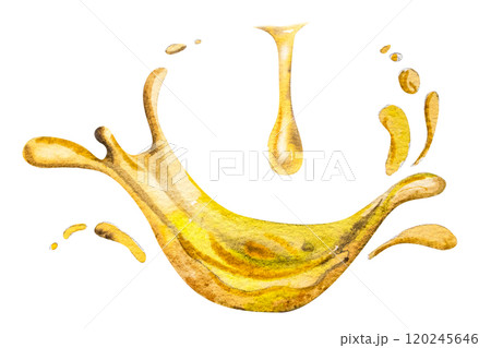 Watercolor illustration olive oil drops and splashes.Hand drawn olive oil Watercolor illustration olive oil drops and splashes.Hand drawn olive oil 120245646
