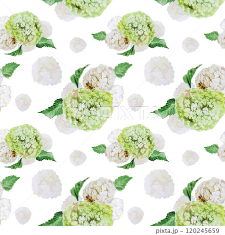 Watercolor illustrations seamless pattern with branches and flowers of white viburnum. Hand painted watercolor spring seamless pattern with a bouquet of white viburnum 120245659