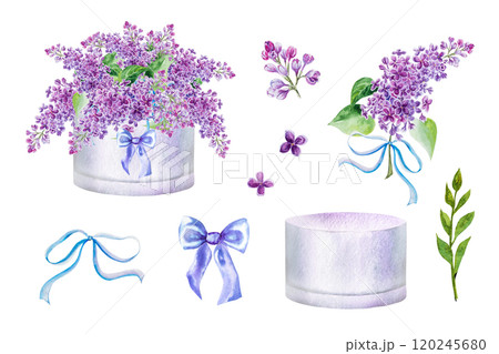 Watercolor illustration set of a bouquet with lilac branches with a cute bow in a box. Hand painted watercolor spring set with a bouquet of lilacs Watercolor illustration set of a bouquet with lilac branches with a cute bow in a box. Hand painted watercolor spring set with a bouquet of lilacs 120245680