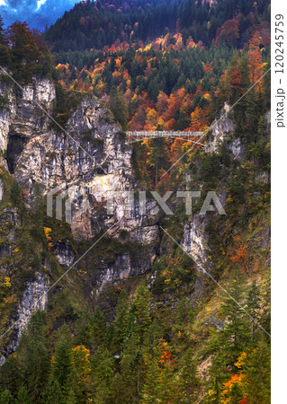 Marienbrucke, Neuschwanstein Castle, Fussen, Germany 120245759