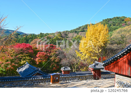 秋の南漢山城・紅葉と顕節祠【韓国/京畿道】 秋の南漢山城・紅葉と顕節祠【韓国/京畿道】 120245766